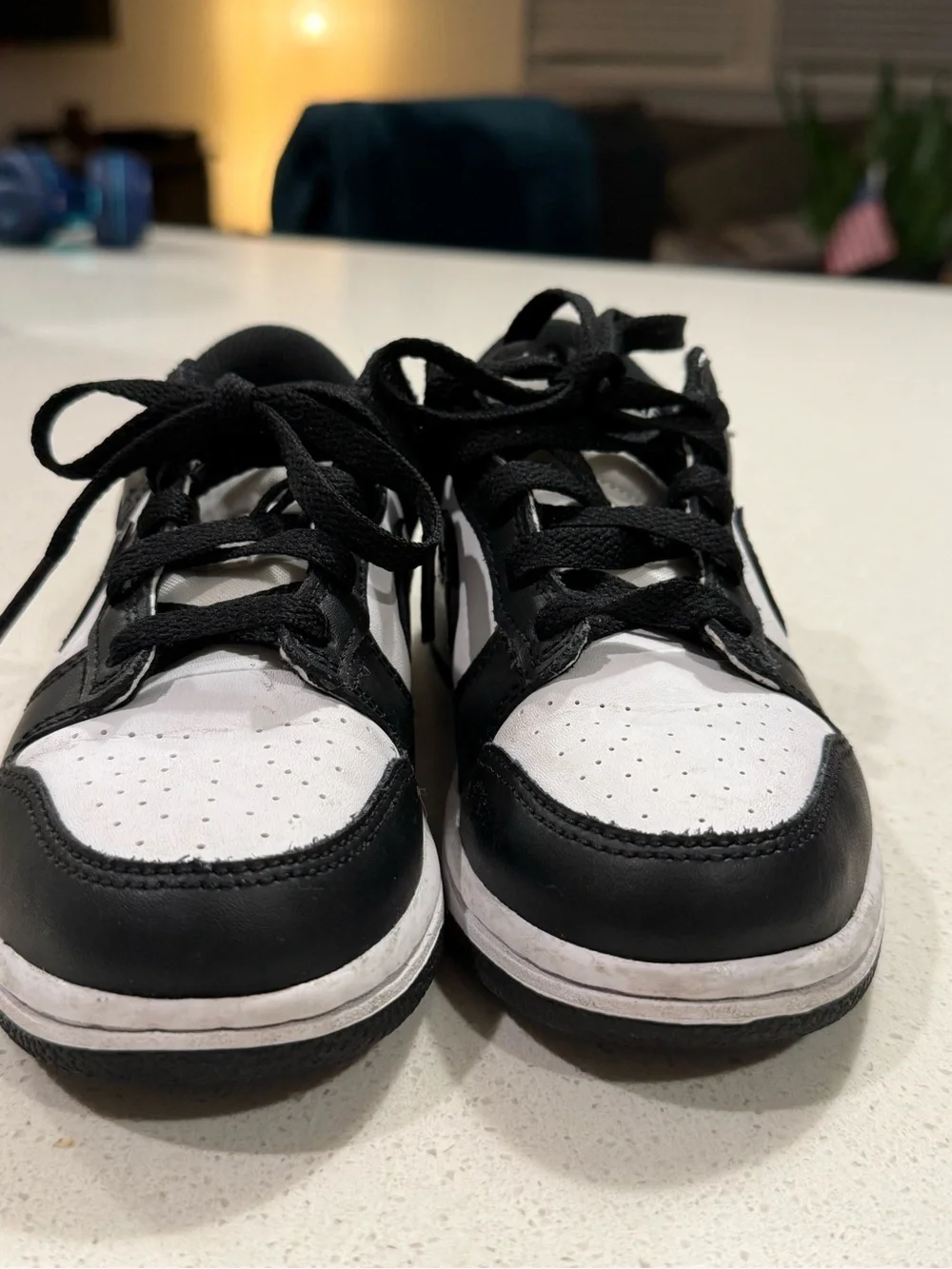 Nike Black and White Dunk Kids Low-Top Sneakers